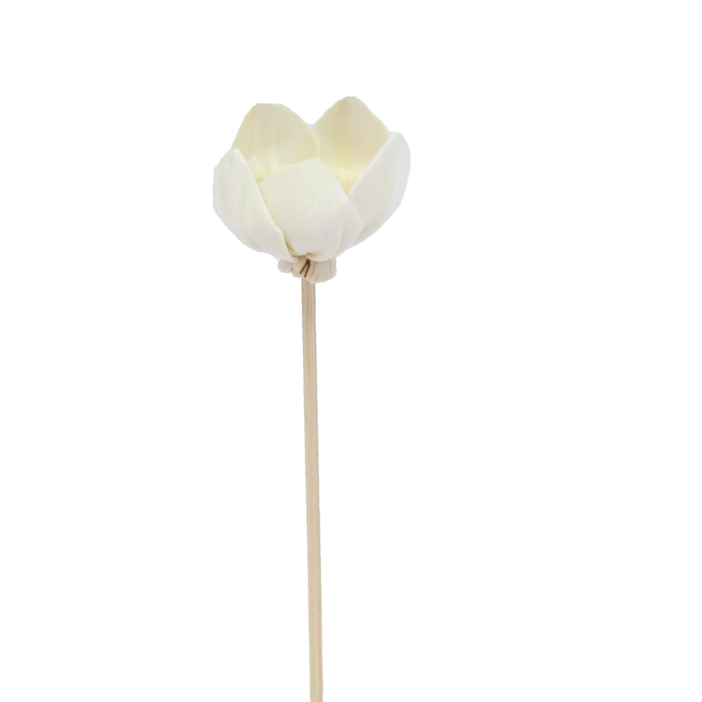 FLEUR DE NARCISSE - BATONNET DIFFUSEUR EN ROTIN FLEUR 23 CM