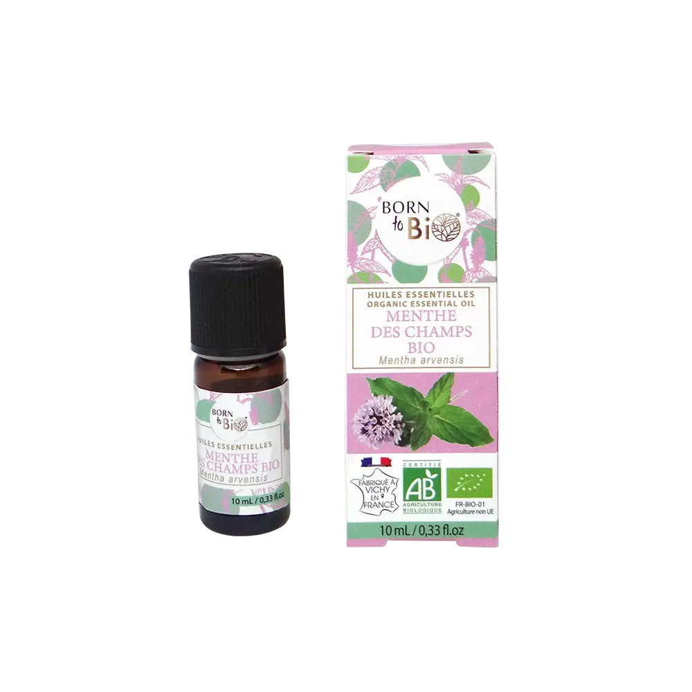 Huile essentielle Menthe des champs BioB 10 mL