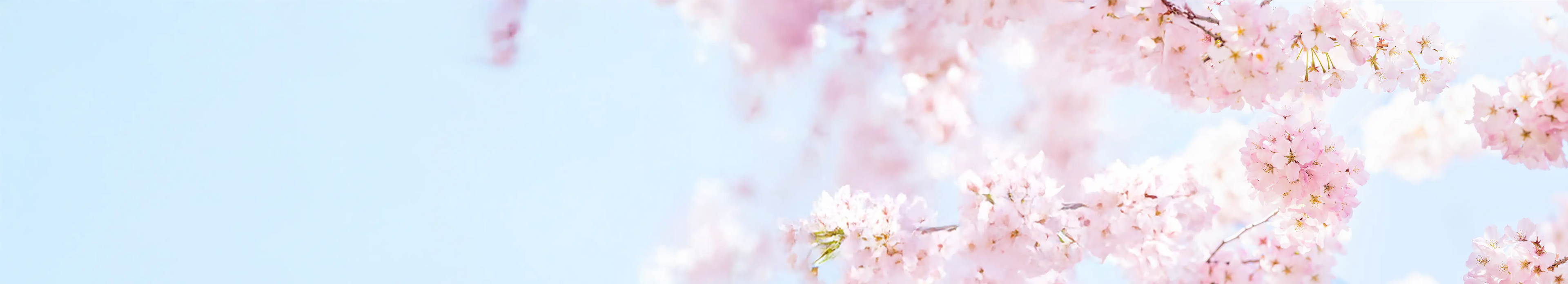 Eaux de toilette florales et poudrées