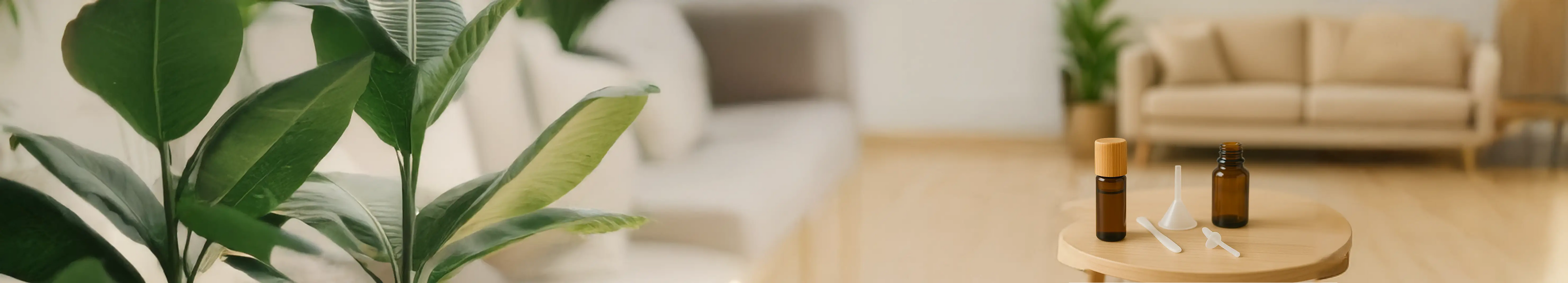 Flacons vides réutilisables