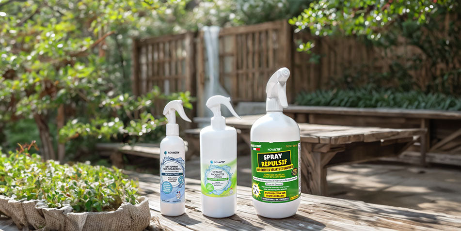 Maison naturelle et écologique