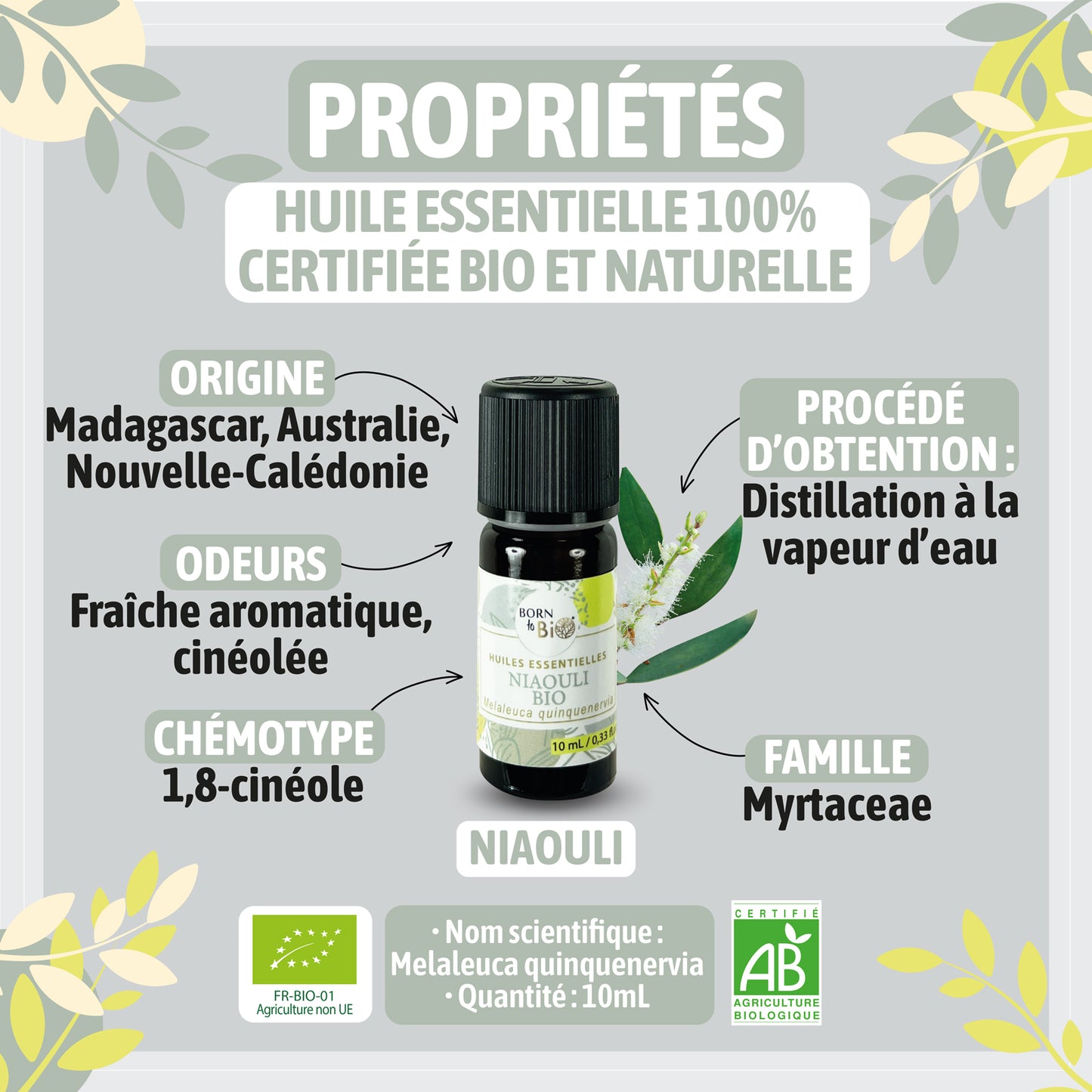 Huile essentielle de Niaouli bio, au parfum frais et camphré, obtenue par distillation à la vapeur des feuilles. 