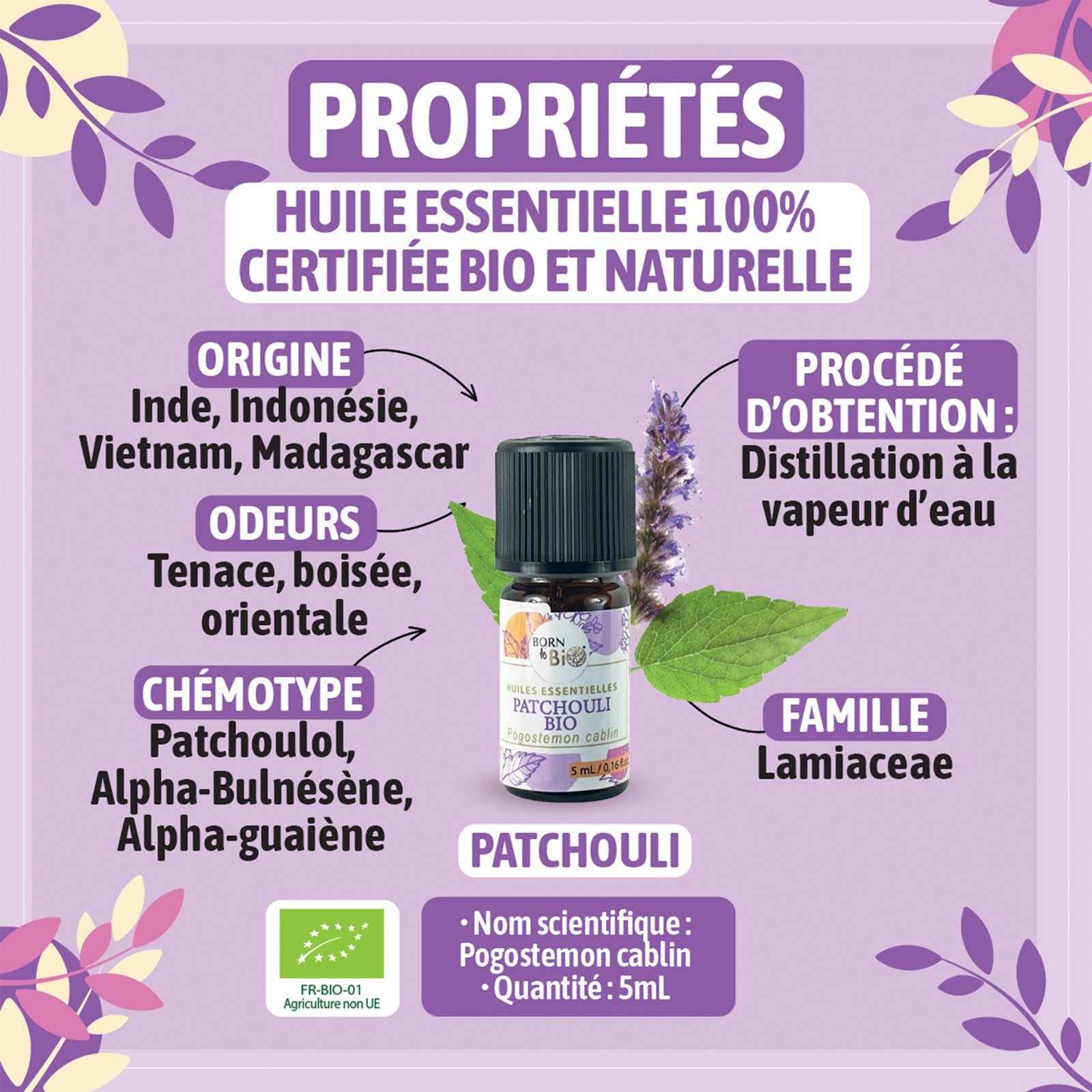 Huile essentielle de Patchouli bio, à l’arôme boisé et terreux, obtenue par distillation des feuilles fermentées.