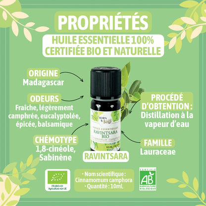 Huile essentielle de Ravintsara bio, au parfum frais et camphré, obtenue par distillation à la vapeur des feuilles. 