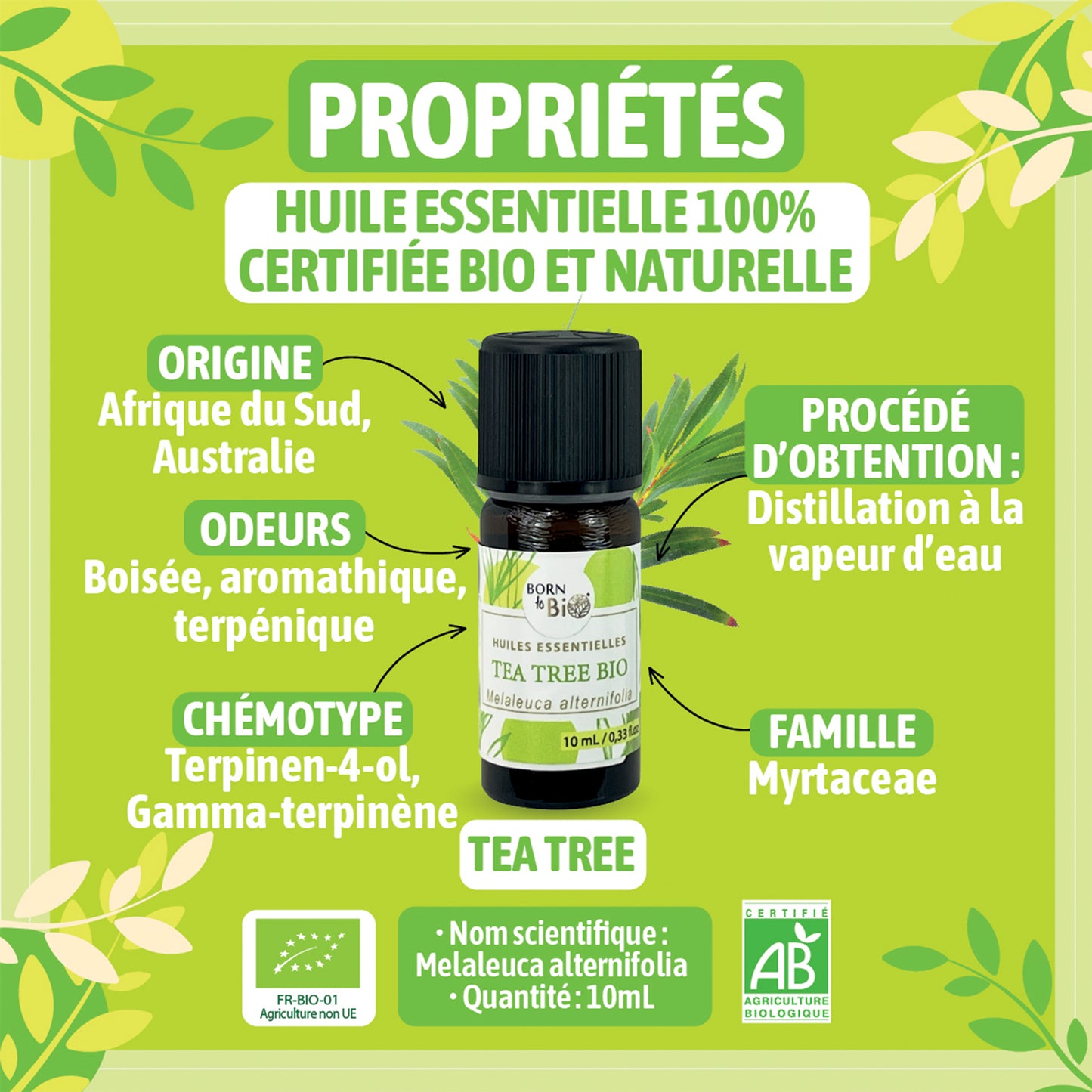  Huile essentielle de Tea Tree bio, au parfum frais et herbacé, obtenue par distillation à la vapeur des feuilles, pour une senteur pure et vivifiante. 
