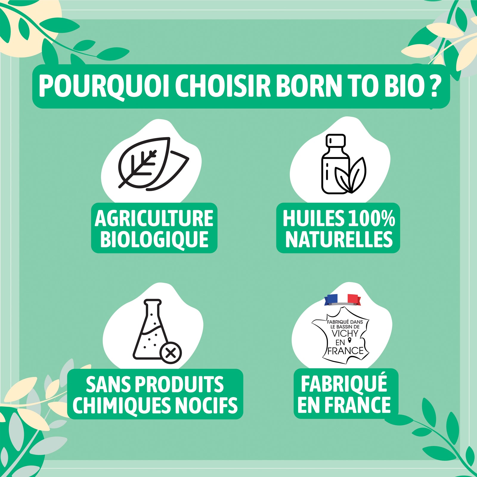 Huile essentielle de Thym à thymol bio, à l’arôme puissant et herbacé, obtenue par distillation des parties aériennes fleuries. 