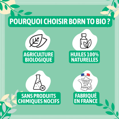 Huile essentielle de Thym à thymol bio, à l’arôme puissant et herbacé, obtenue par distillation des parties aériennes fleuries. 