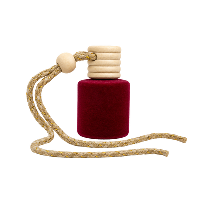 Mini Car & Wardrobe Diffuser