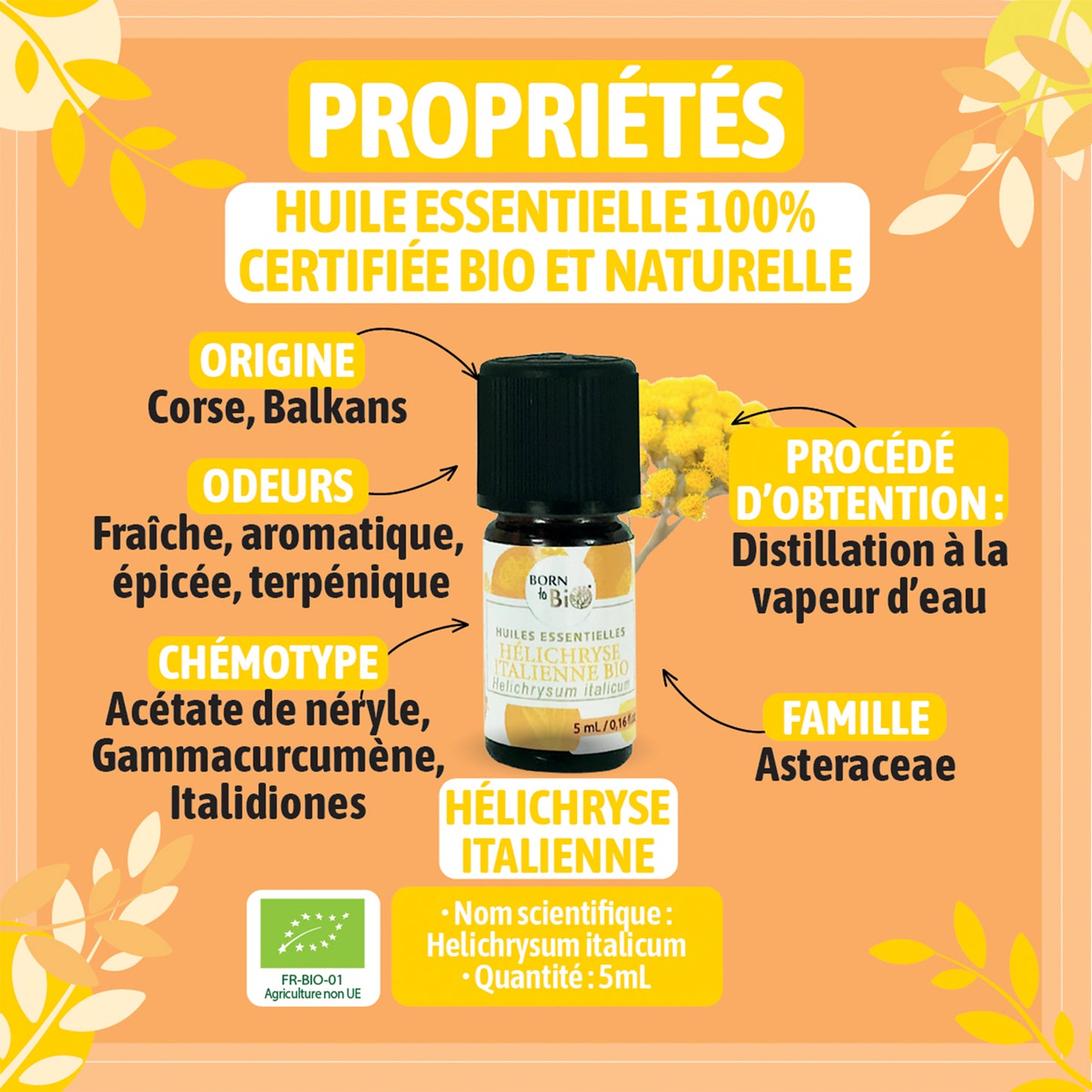 Huile essentielle d’Hélichryse italienne, à l’odeur chaude et miellée, extraite par distillation à la vapeur des sommités fleuries, préservant toutes ses précieuses propriétés. Elle n'a subi aucun ajout ni retrait.