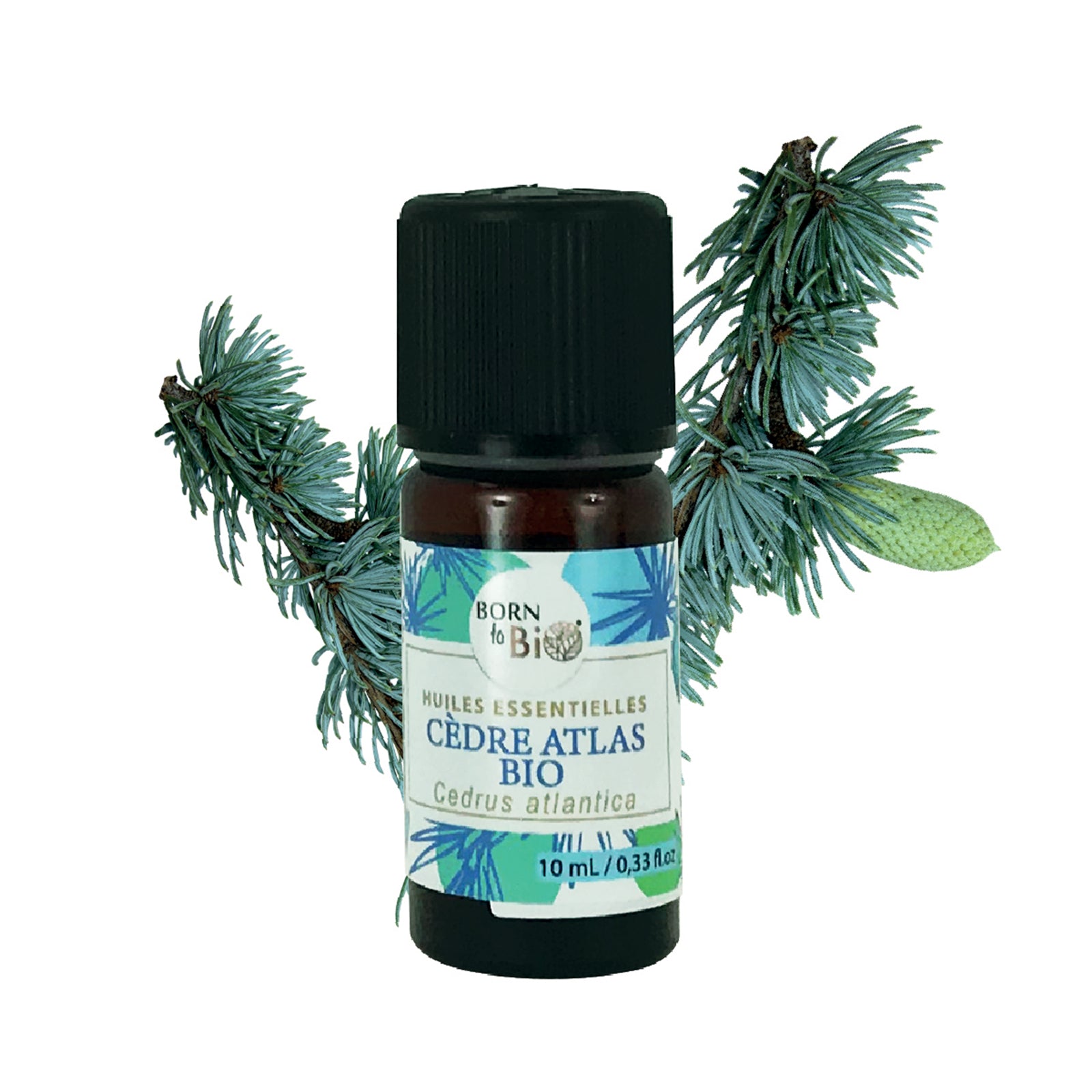 Huile essentielle de Cèdre Atlas bio, au parfum boisé et chaud, obtenue par distillation à la vapeur du bois, pour une expérience olfactive authentique et naturelle.