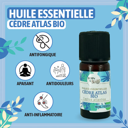 Huile essentielle de Cèdre Atlas bio, au parfum boisé et chaud, obtenue par distillation à la vapeur du bois, pour une expérience olfactive authentique et naturelle.