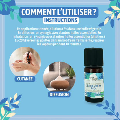 Huile essentielle de Cèdre Atlas bio, au parfum boisé et chaud, obtenue par distillation à la vapeur du bois, pour une expérience olfactive authentique et naturelle.