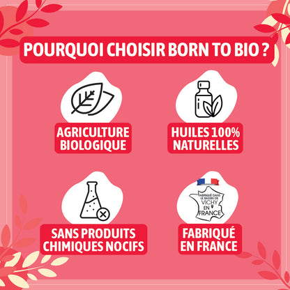 Huile essentielle de Gaulthérie bio, au parfum puissant et légèrement médicinal, obtenue par distillation à la vapeur des feuilles, pour une senteur intense et caractéristique.
