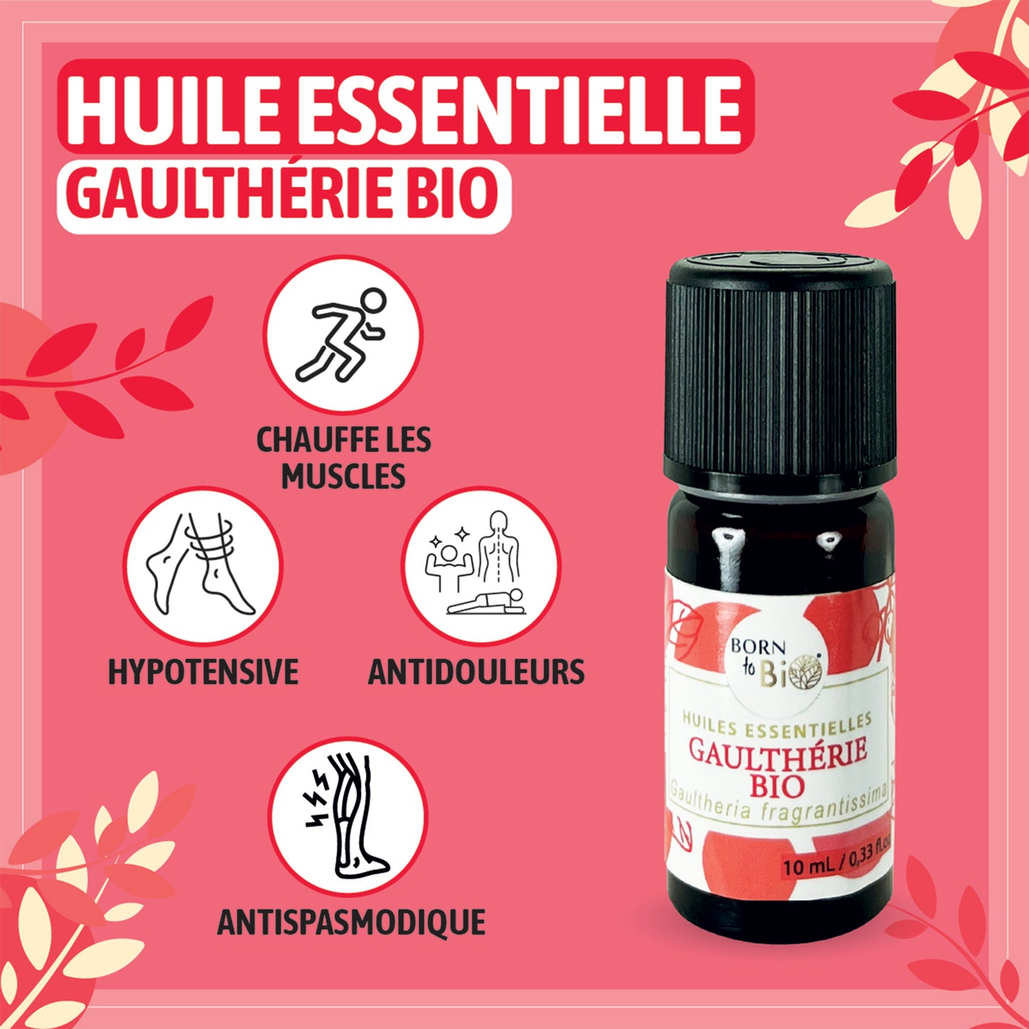 Huile essentielle de Gaulthérie bio, au parfum puissant et légèrement médicinal, obtenue par distillation à la vapeur des feuilles, pour une senteur intense et caractéristique.