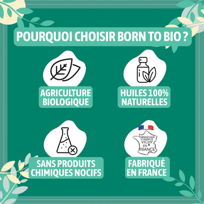 Huile essentielle d’Eucalyptus globulus Bio, au parfum frais et camphré, obtenue par distillation à la vapeur des feuilles.