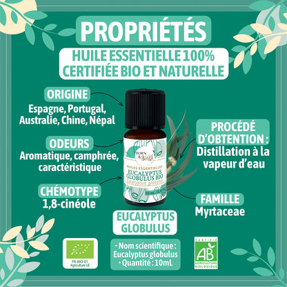 Huile essentielle d’Eucalyptus globulus Bio, au parfum frais et camphré, obtenue par distillation à la vapeur des feuilles.