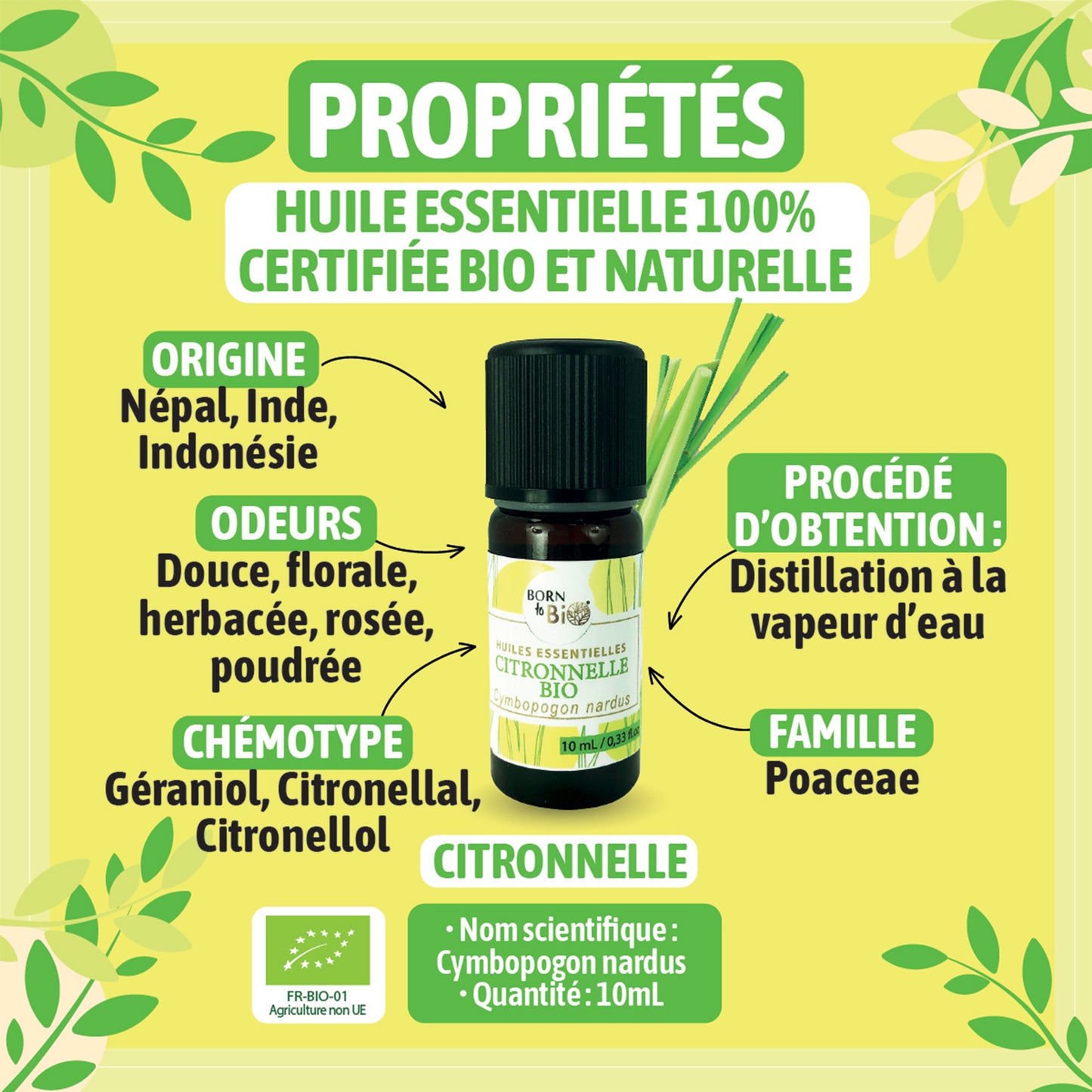 Huile essentielle de Citronnelle bio, à l’arôme frais et citronné, obtenue par distillation à la vapeur des parties aériennes.