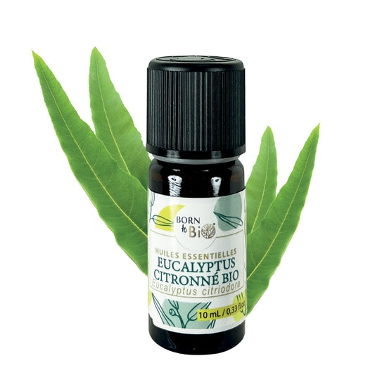 Flacon d'huile essentielle d'eucalyptus citronné 100% bio de Born To Bio, connue pour ses propriétés rafraîchissantes et purifiantes, parfaite pour l'aromathérapie.