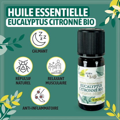 Huile essentielle d’Eucalyptus citronné Bio, fraîche et citronnée, obtenue par distillation à la vapeur des feuilles.