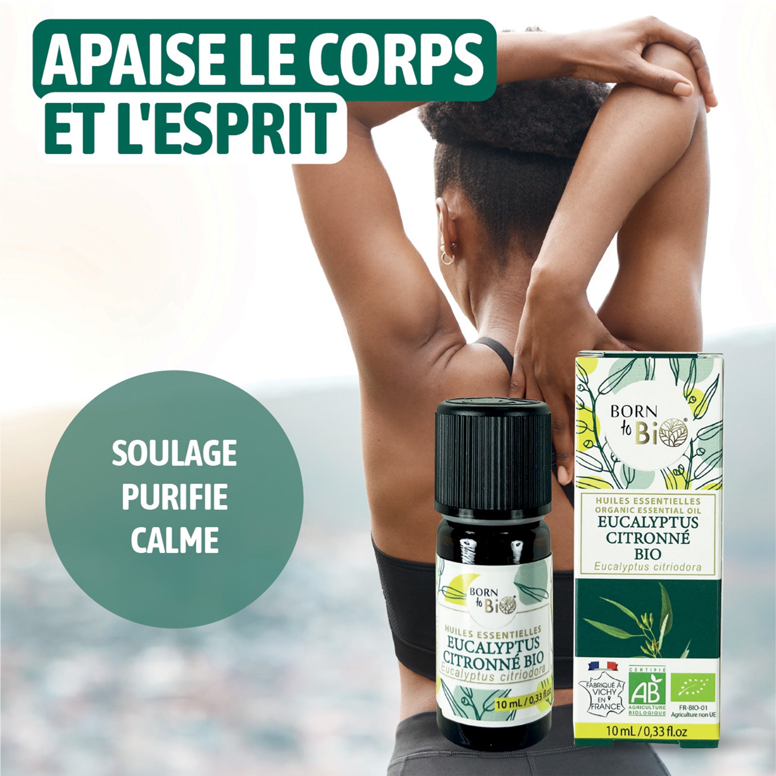 Huile essentielle d’Eucalyptus citronné Bio, fraîche et citronnée, obtenue par distillation à la vapeur des feuilles.
