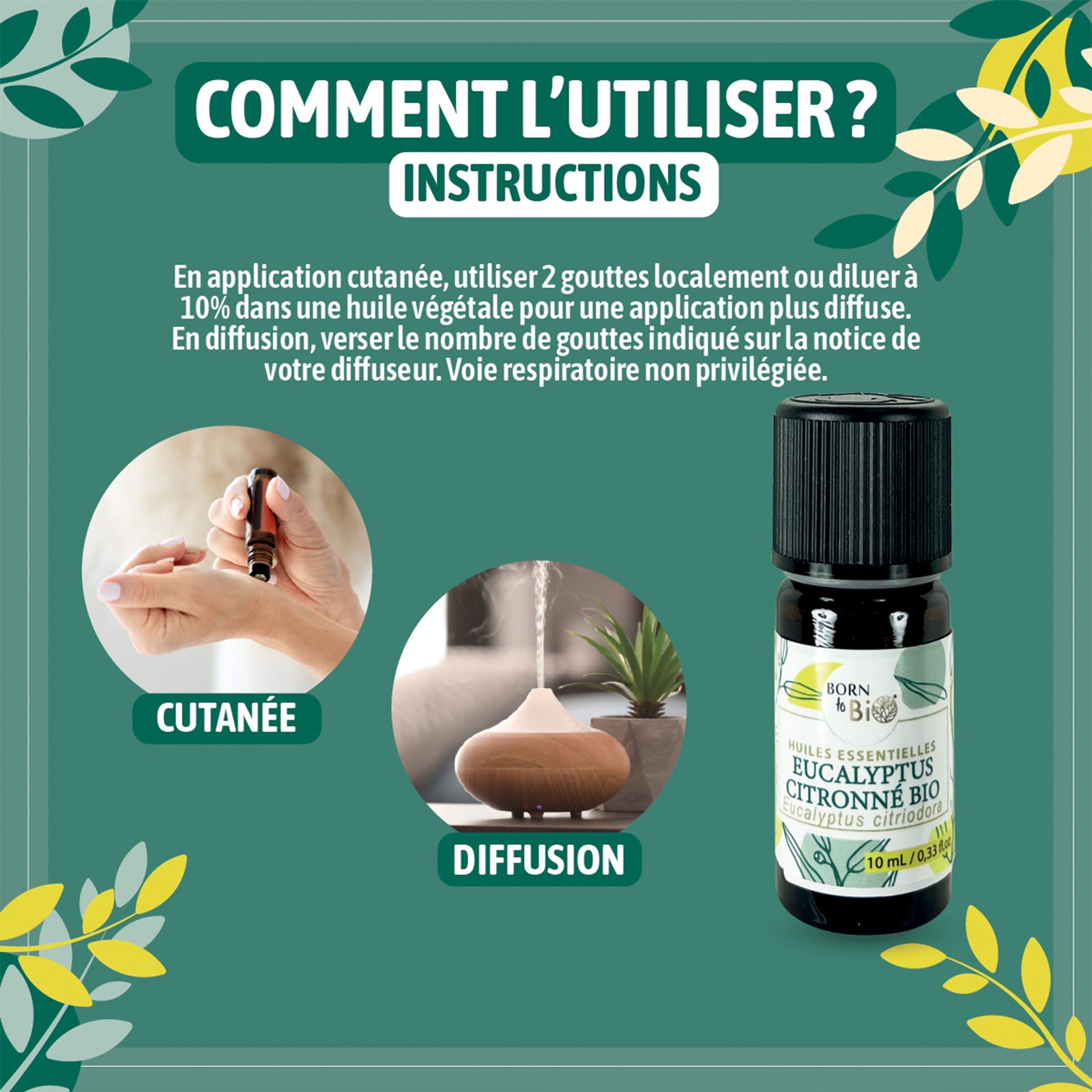 Huile essentielle d’Eucalyptus citronné Bio, fraîche et citronnée, obtenue par distillation à la vapeur des feuilles.