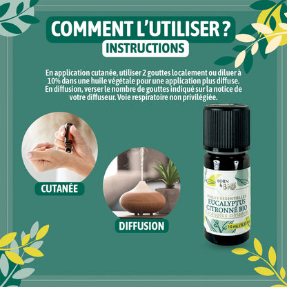 Huile essentielle d’Eucalyptus citronné Bio, fraîche et citronnée, obtenue par distillation à la vapeur des feuilles.