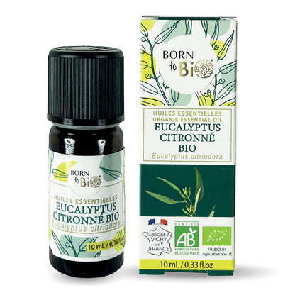 Huile essentielle d’Eucalyptus citronné Bio, fraîche et citronnée, obtenue par distillation à la vapeur des feuilles.