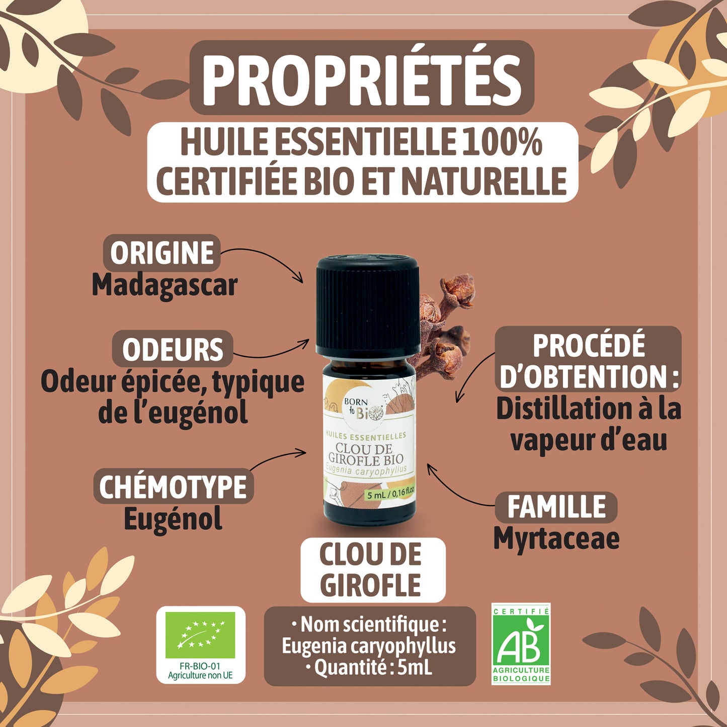 Huile essentielle de Clou de girofle bio, au parfum chaud et épicé, obtenue par distillation à la vapeur des boutons floraux.