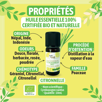 Illustration des bienfaits de l'huile essentielle de citronnelle bio, utilisée pour ses propriétés apaisantes et purifiantes dans l'aromathérapie.