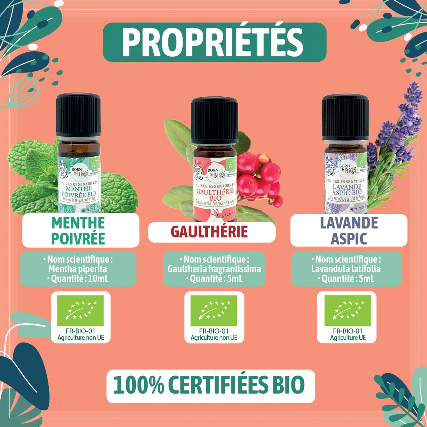 Coffret d’huiles essentielles bio associant Menthe Poivrée, Lavande Aspic et Gaulthérie pour une relaxation naturelle face aux petits tracas de la journée.