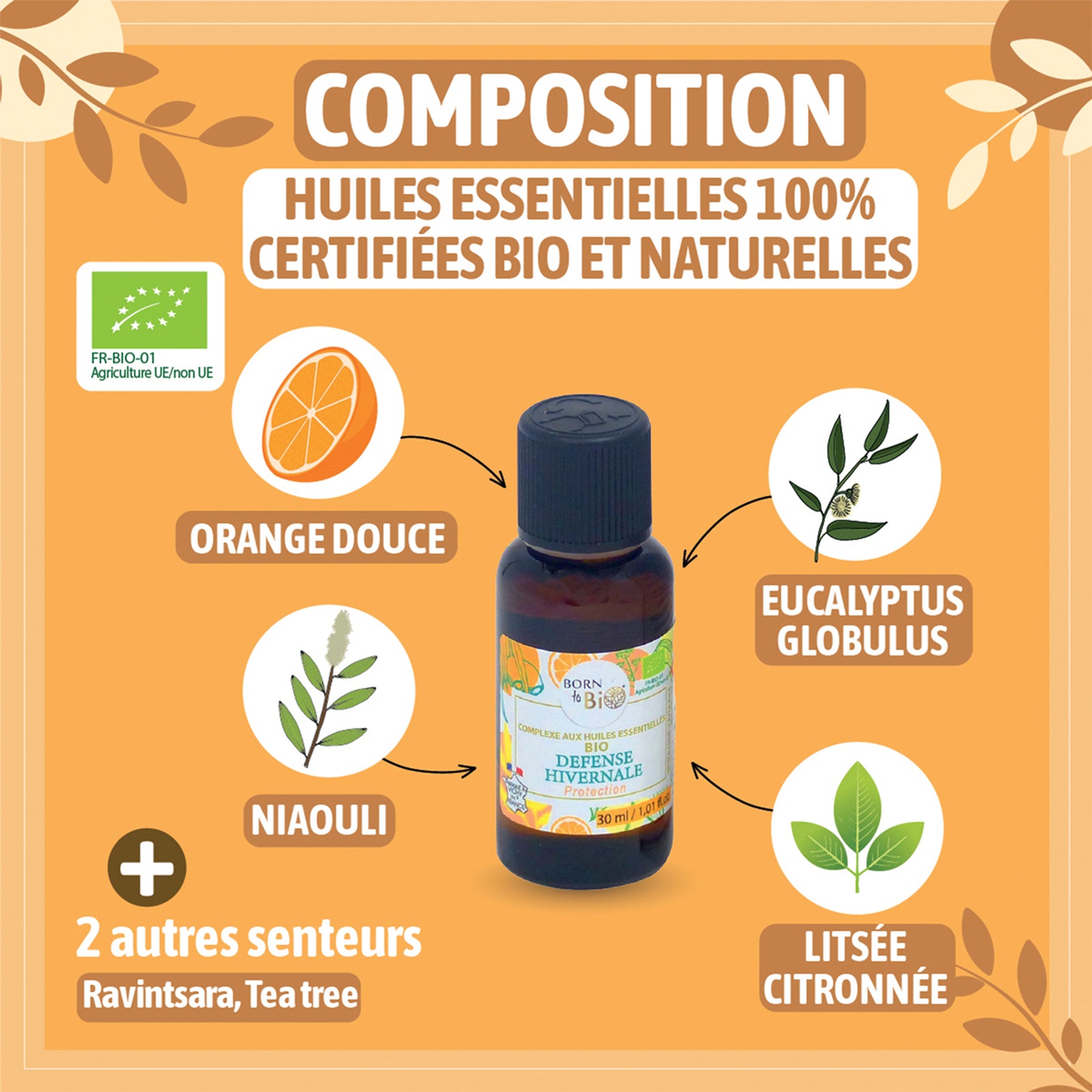 Complexe bio pour une protection renforcée durant l’hiver, avec des huiles essentielles qui purifient et fortifient.