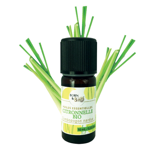 Organic Lemongrass Essential Oil