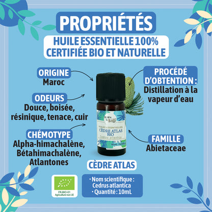 Flacon d'huile essentielle de cèdre atlas 100% bio de Born To Bio, connue pour ses propriétés apaisantes et purifiantes, idéal pour les diffuseurs.