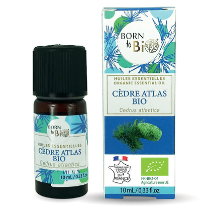 Huile essentielle de Cèdre Atlas bio, au parfum boisé et chaud, obtenue par distillation à la vapeur du bois, pour une expérience olfactive authentique et naturelle. 