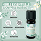 Organic Eucalyptus radiata essential oil