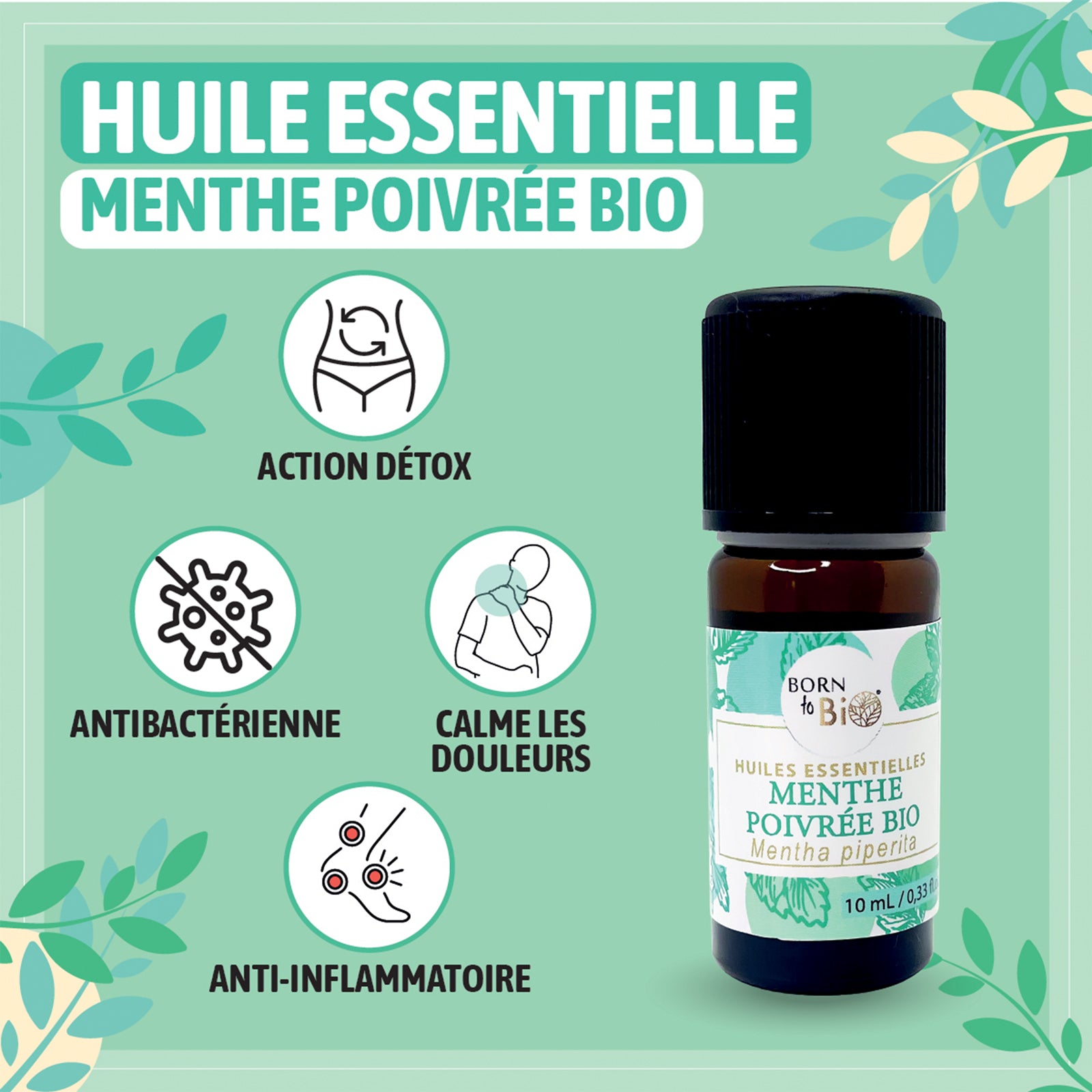 Découvrez l'huile essentielle de menthe poivrée en format 10ml, parfaite pour soulager les douleurs musculaires, améliorer la concentration et rafraîchir l'air ambiant.