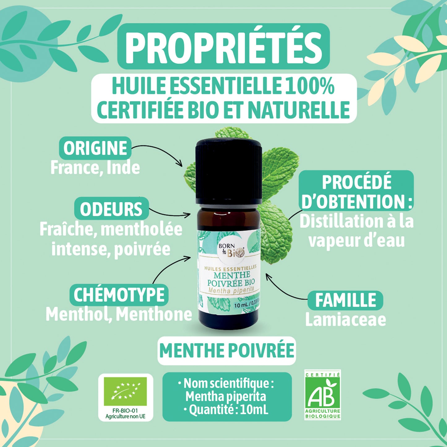 Organic Peppermint essential oil