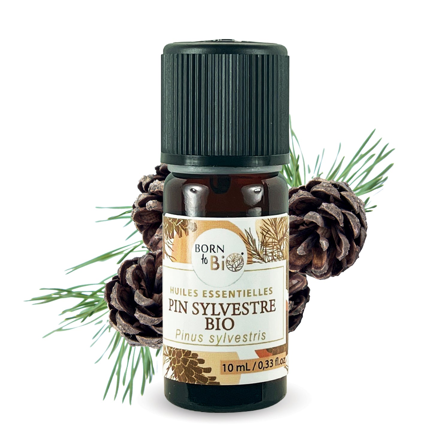 Huile essentielle de Pin sylvestre bio, au parfum frais et résineux, obtenue par distillation des aiguilles.
