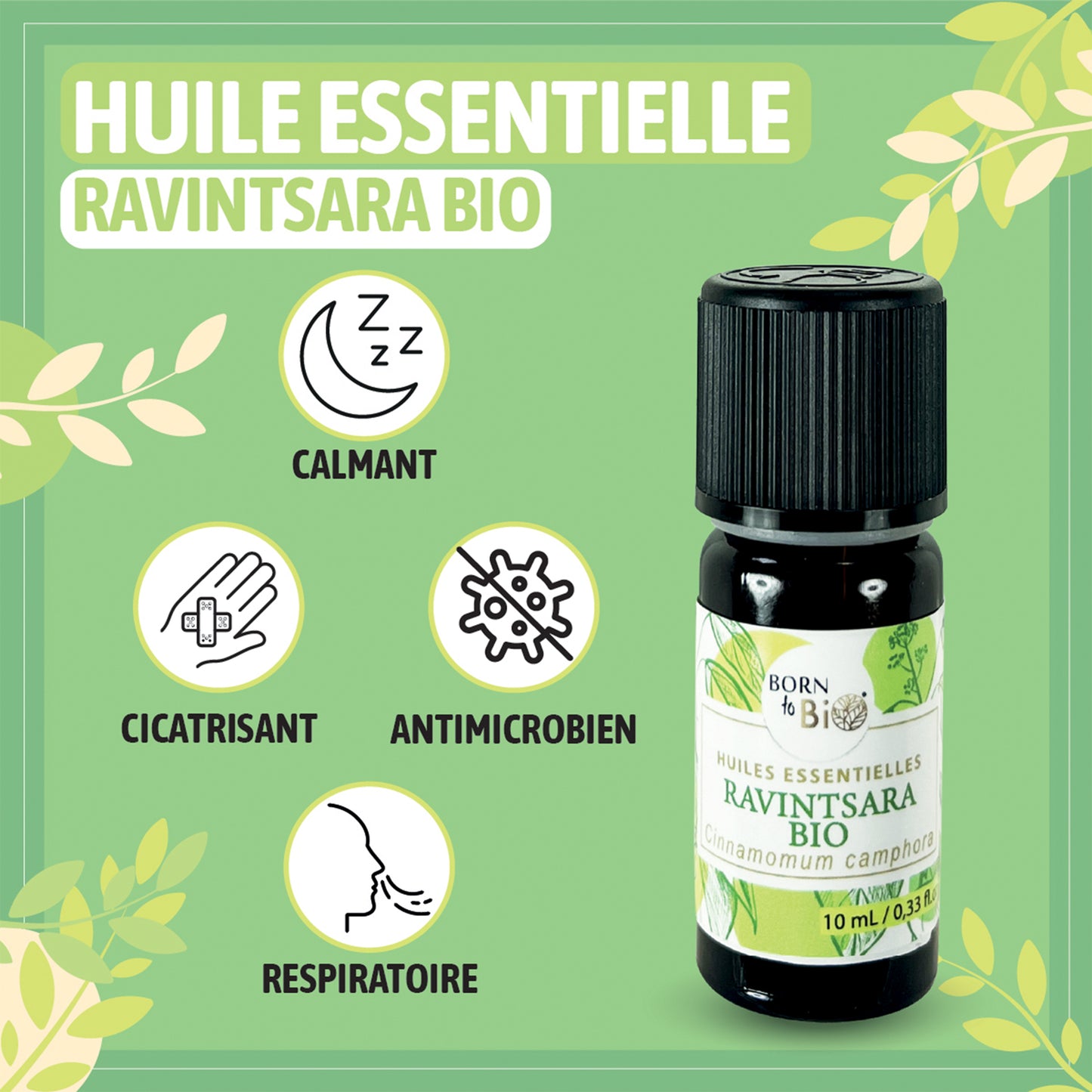  L'huile essentielle de ravintsara bio en format 10ml, parfaite pour soutenir le système immunitaire, soulager les infections respiratoires et purifier l'air en diffusion.