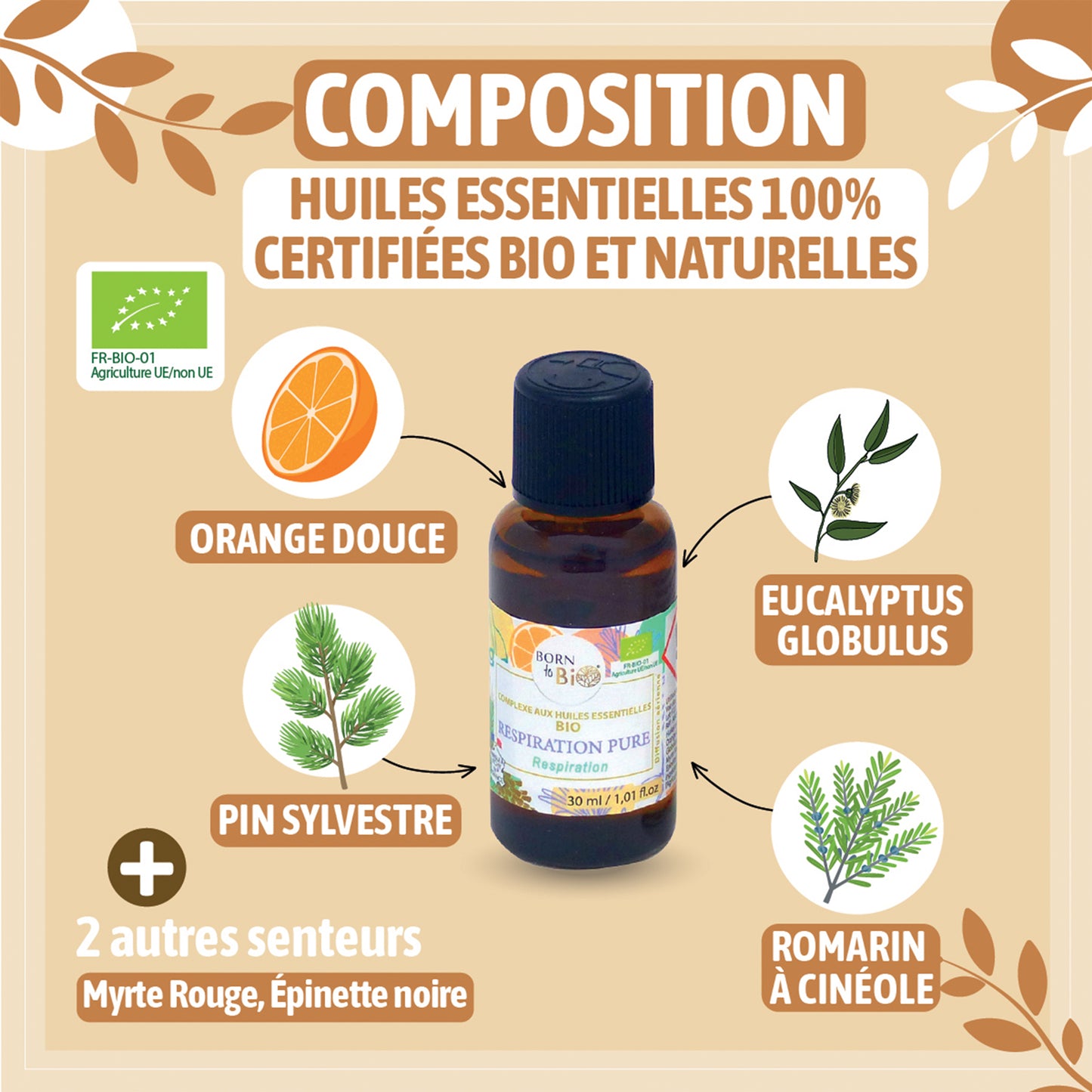 Complexe d’huiles essentielles bio conçu pour une diffusion aérienne, apportant une sensation de pureté et d’air frais, idéal pour respirer plus librement.