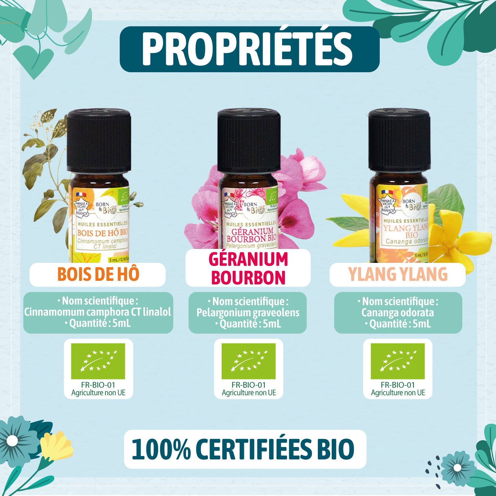 Le "Trio Vitalité Visage" de Born to Bio allie les vertus revitalisantes des huiles essentielles d'Ylang Ylang, Géranium Bourbon et Bois de Hô bio. Une peau éclatante de santé, naturellement.