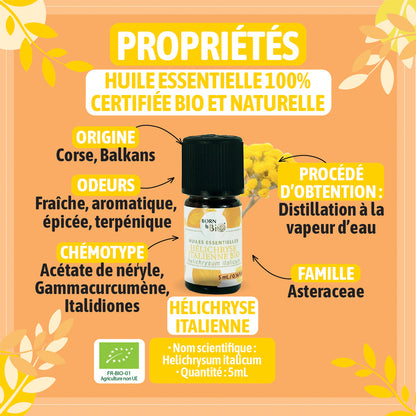 Huile essentielle d'hélichryse italienne bio en application sur la peau, démontrant son efficacité pour réduire les rougeurs et améliorer l'apparence des cicatrices.