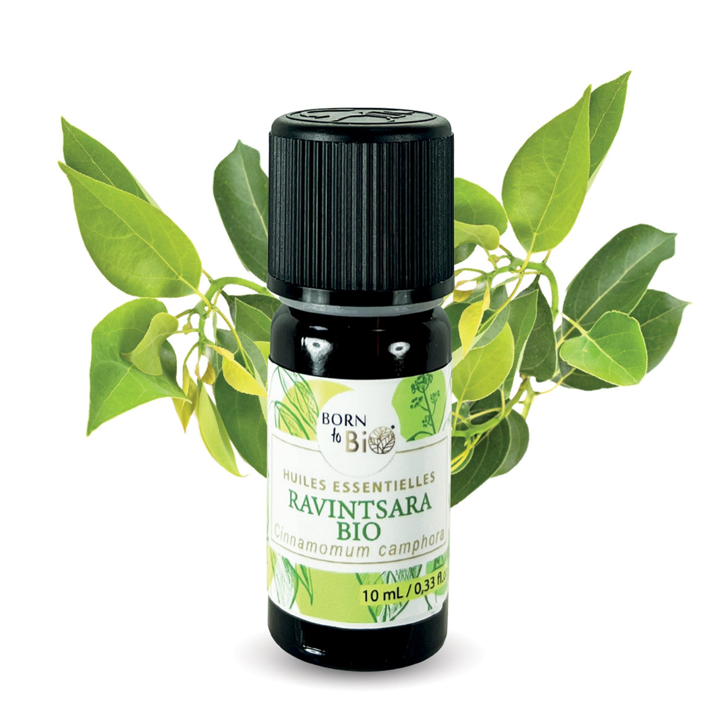 Organic Ravintsara essential oil