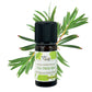 Huile essentielle Tea tree Bio