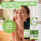 Huile essentielle Tea tree Bio