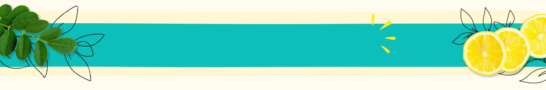 banniere-presentation-accueil-bleu-born-to-bio