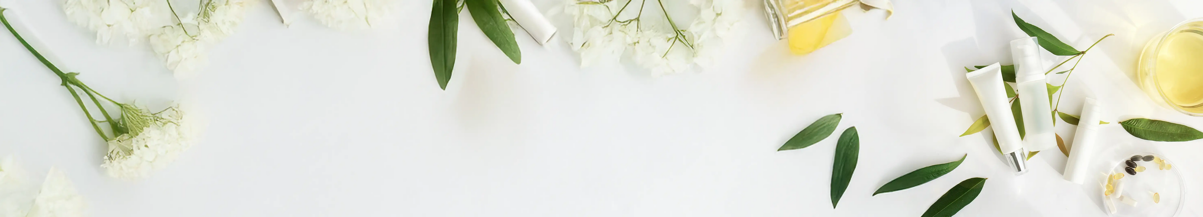 banniere-born-to-bio-mettant-en-avant-une-selection-de-produits-de-saison-bio-et-naturels-born-to-bio