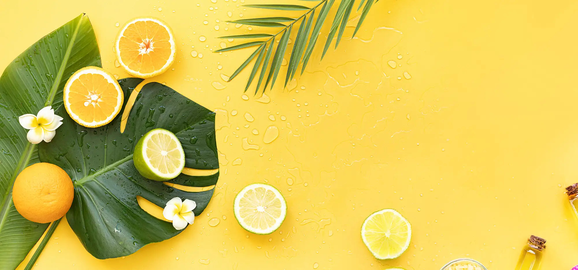 banniere-page-qui-sommes-nous-born-to-bio