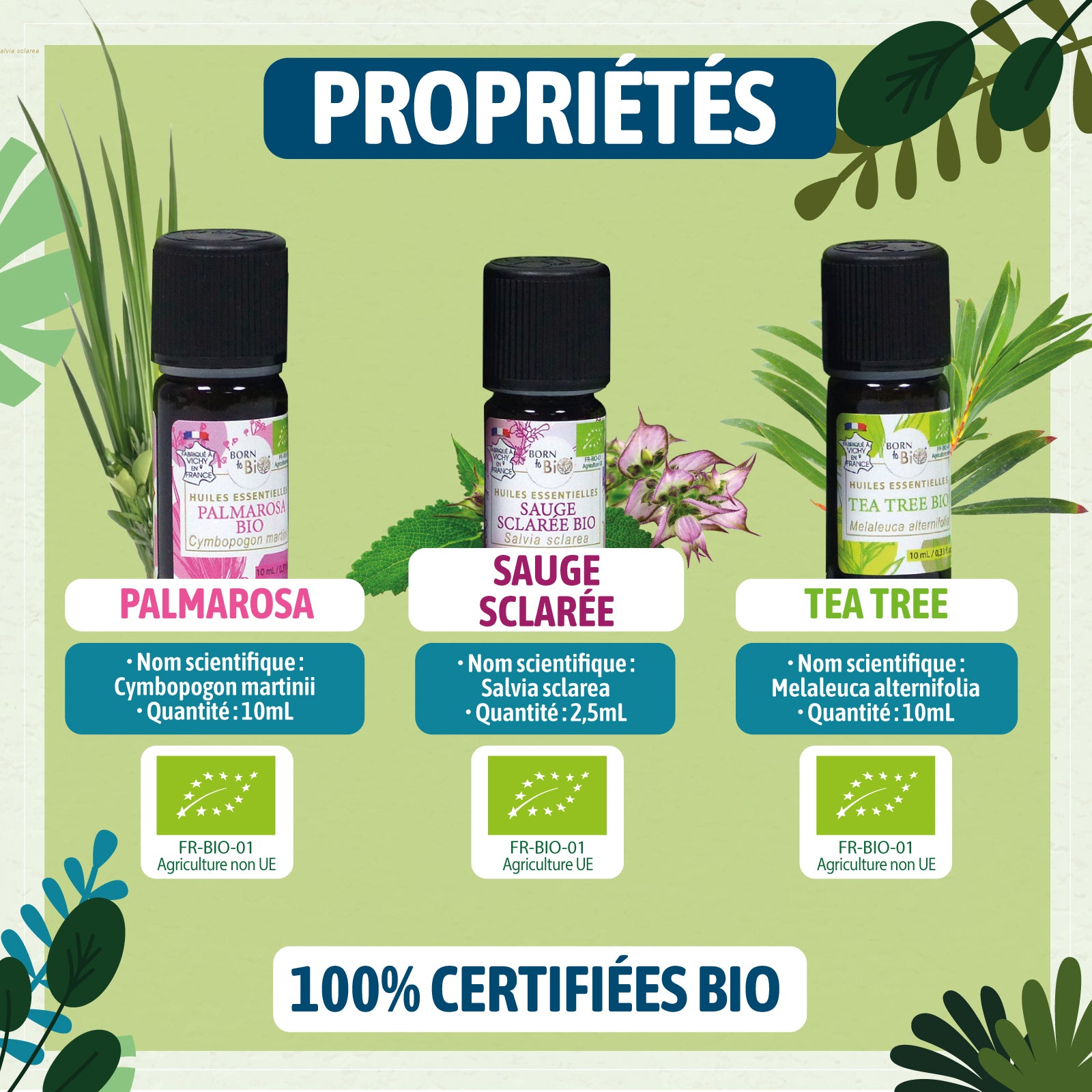 Un coffret d’huiles essentielles bio, parfait pour retrouver un visage frais et purifié. Le Palmarosa, Tea Tree et Sauge Sclarée agissent en synergie pour une peau saine et nette.