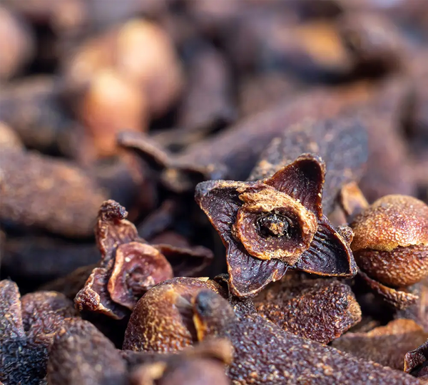 epices-clou-de-girofle-utilisees-dans-les-formules-born-to-bio